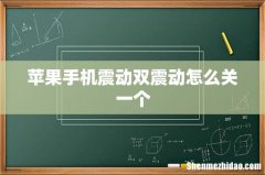 苹果手机震动双震动怎么关一个