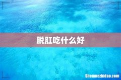 脱肛吃什么好