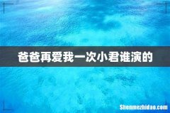 爸爸再爱我一次小君谁演的