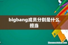 bigbang成员分别是什么担当