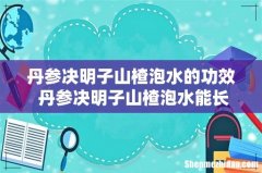 丹参决明子山楂泡水的功效 丹参决明子山楂泡水能长期喝吗