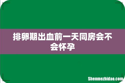 排卵期出血前一天同房会不会怀孕