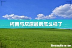 柯南与灰原最后怎么样了
