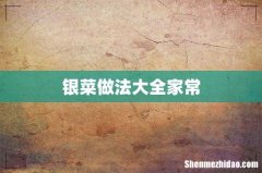 银菜做法大全家常