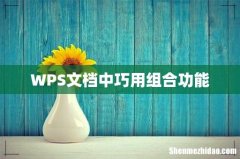 WPS文档中巧用组合功能
