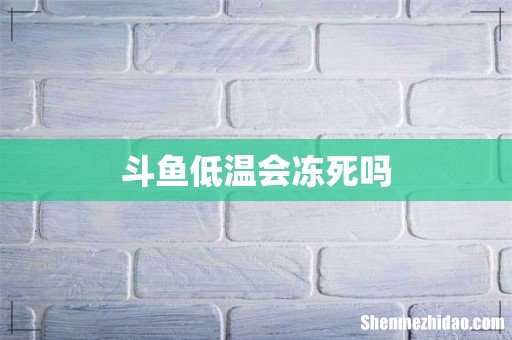 斗鱼低温会冻死吗