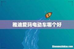 雅迪爱玛电动车哪个好