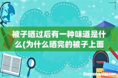 为什么晒完的被子上面会有一种味道？这是什么原因？ 被子晒过后有一种味道是什么