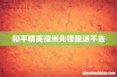 和平精英绿洲先锋服进不去
