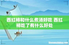 西红柿和什么煮汤好吃 西红柿吃了有什么好处