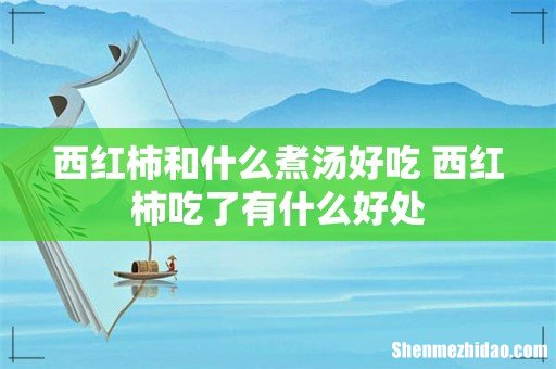 西红柿和什么煮汤好吃 西红柿吃了有什么好处