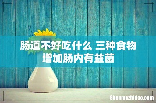 肠道不好吃什么 三种食物增加肠内有益菌