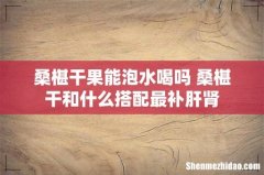 桑椹干果能泡水喝吗 桑椹干和什么搭配最补肝肾