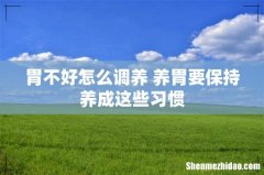 胃不好怎么调养 养胃要保持养成这些习惯