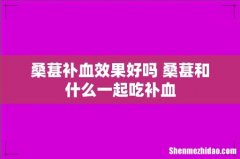 桑葚补血效果好吗 桑葚和什么一起吃补血