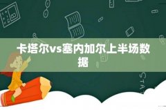 卡塔尔vs塞内加尔上半场数据