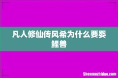 凡人修仙传风希为什么要婴鲤兽