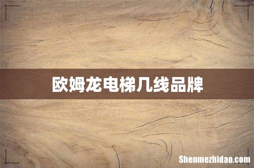 欧姆龙电梯几线品牌