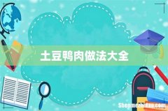 土豆鸭肉做法大全