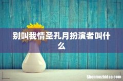 别叫我情圣孔月扮演者叫什么