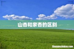 山杏和家杏的区别