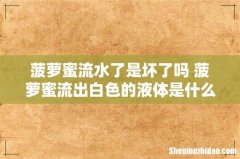 菠萝蜜流水了是坏了吗 菠萝蜜流出白色的液体是什么