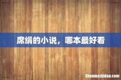 席绢的小说，哪本最好看