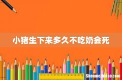 小猪生下来多久不吃奶会死