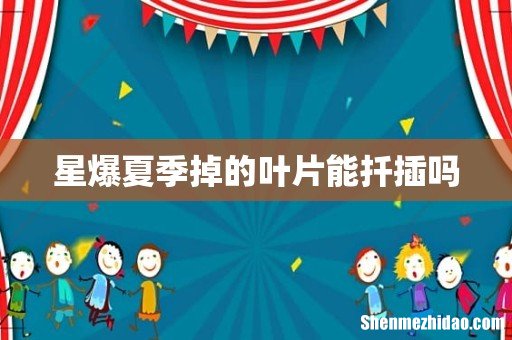 星爆夏季掉的叶片能扦插吗