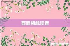 面面相觑读音