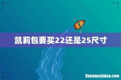 凯莉包要买22还是25尺寸