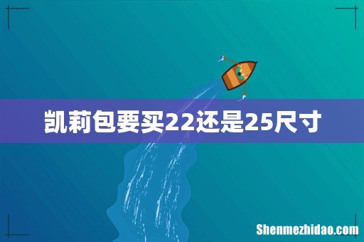凯莉包要买22还是25尺寸