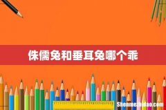 侏儒兔和垂耳兔哪个乖
