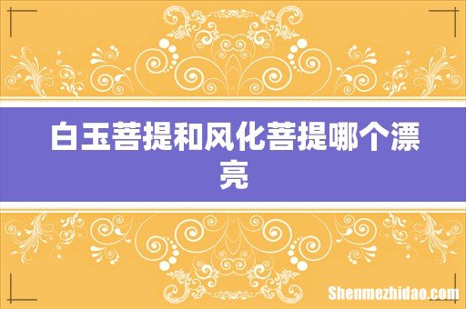 白玉菩提和风化菩提哪个漂亮