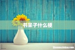 书呆子什么梗