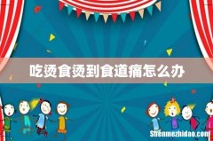 吃烫食烫到食道痛怎么办