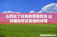 山药长了白色的芽能吃吗 山药粗的好还是细的好呢