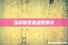 深圳视觉展进馆要求