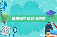 枫树寄生茶如何泡制