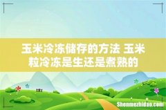 玉米冷冻储存的方法 玉米粒冷冻是生还是煮熟的