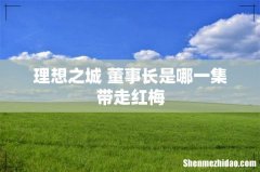 理想之城 董事长是哪一集带走红梅