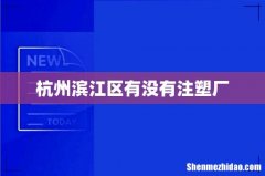 杭州滨江区有没有注塑厂
