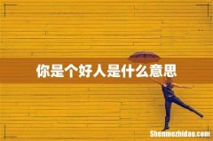 你是个好人是什么意思