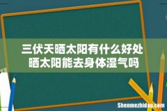 三伏天晒太阳有什么好处 晒太阳能去身体湿气吗