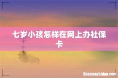 七岁小孩怎样在网上办社保卡