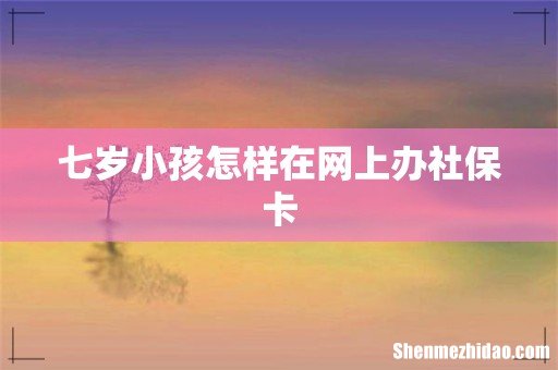 七岁小孩怎样在网上办社保卡