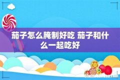 茄子怎么腌制好吃 茄子和什么一起吃好