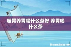 暖胃养胃喝什么茶好 养胃喝什么茶