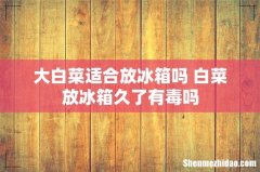 大白菜适合放冰箱吗 白菜放冰箱久了有毒吗