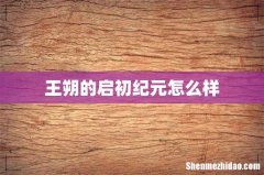王朔的启初纪元怎么样